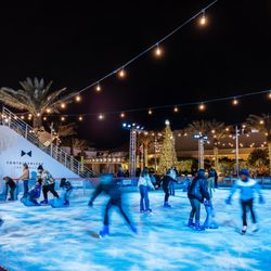 Oasis Ice Rink at Fontainebleau