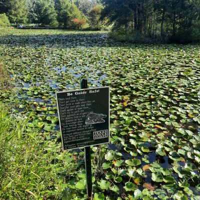 Houston Arboretum & Nature Center by null