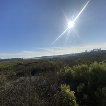Upper Newport Wilderness Preserve - Hiking Near Me - Costa Mesa, California