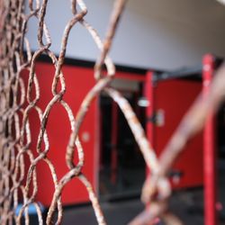 Kauai Muscle and Fitness