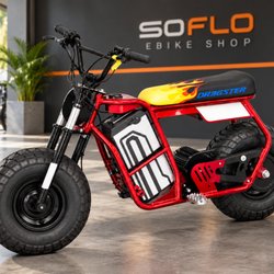 SoFlo e-Bike Shop - Ebox Ebike - In stock