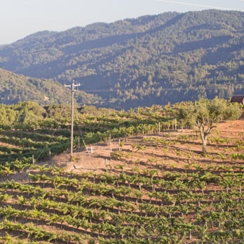 Fellom Ranch - a vineyard in the foreground - Wineries Near Me - Cupertino, California Fellom Ranch - a vineyard in the foreground - Wineries Near Me - Cupertino, California