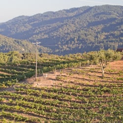 Fellom Ranch