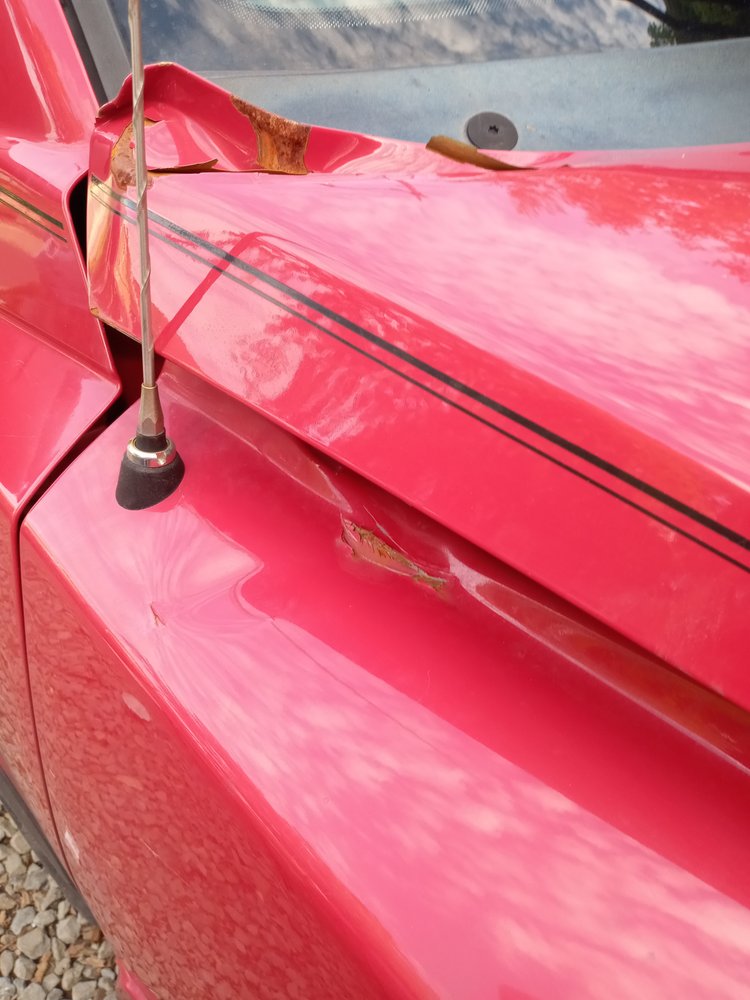 SWS AUTOMOTIVE EXCELLENCE Updated May 2024 965 Vestal Pkwy W