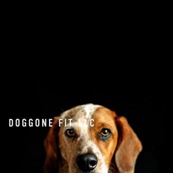 Doggone Fit - Take your dog anywhere......