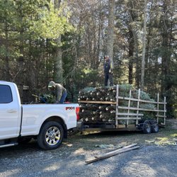 The Christmas Tree Lot
