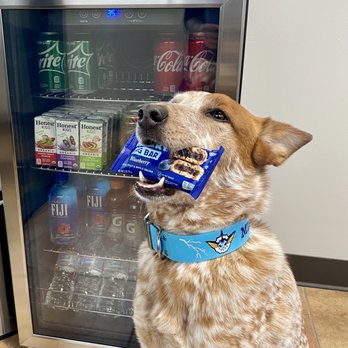 CCC 360 Automotive - Variety of snacks while you wait. - Auto Repair Near Me CCC 360 Automotive - Variety of snacks while you wait. - Auto Repair Near Me