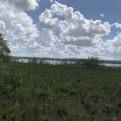 Moss Park - View from campsite