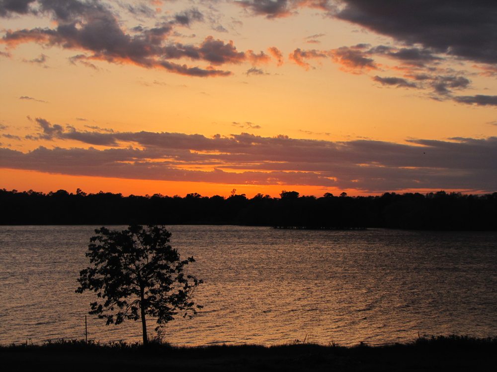 LORETTA MOEHLE REMAX LAKE LIVINGSTON 12 Photos 14256 US Hwy 190 W