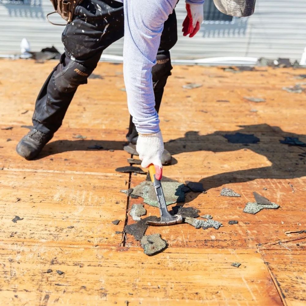 Slide of Division Kanga Roof