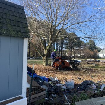 William Dagenhart Tree Service - Tree Services Near Me - Pittsville, Maryland William Dagenhart Tree Service - Tree Services Near Me - Pittsville, Maryland