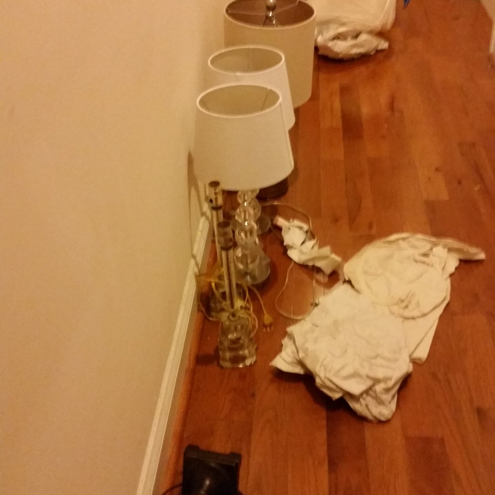 Focus Movers - Movers Near Me - Baltimore, Maryland