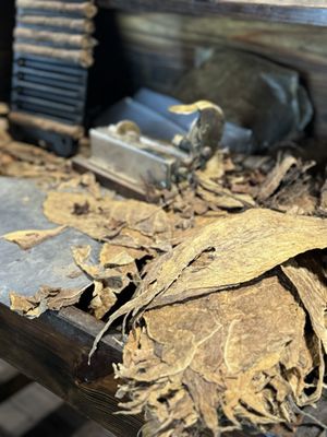 J.C. Newman Cigar Company by null