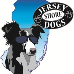 Jersey Shore Dogs - Jersey Shore Dogs - Dog Training