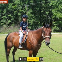 Emma Kaufmann Camp - Horseback riding