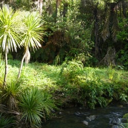Aio Wira Seminar & Retreat Centre - The 'backyard'.
