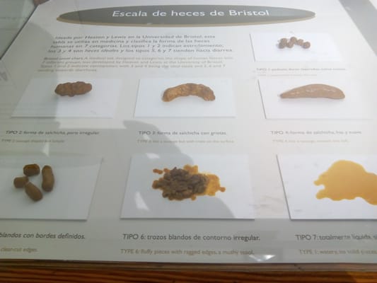 Casa de la Ciencia by null