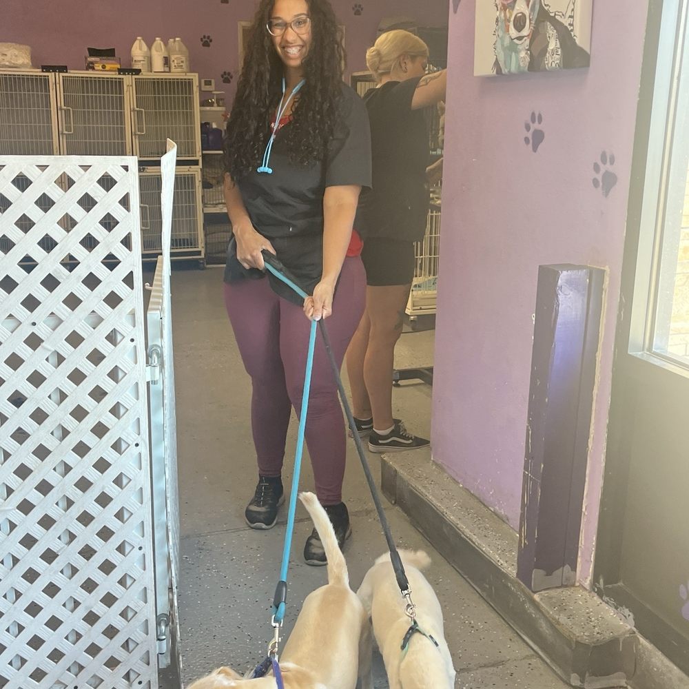 Calling All Paws - Pet Groomers Near Me - Las Vegas, Nevada