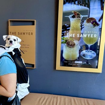 Kimpton Sawyer Hotel - Dog in a Backpack - Hotels Near Me - Sacramento, California Kimpton Sawyer Hotel - Dog in a Backpack - Hotels Near Me - Sacramento, California