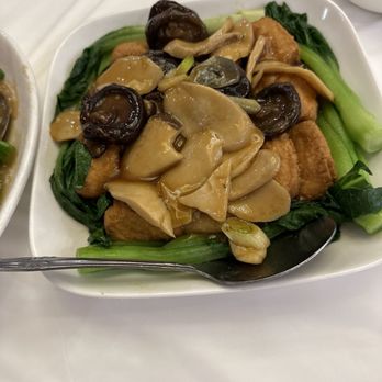 Crown Seafood Restaurant - Soft Tofu with Mushrooms - Dim Sum Near Me - Houston, Texas Crown Seafood Restaurant - Soft Tofu with Mushrooms - Dim Sum Near Me - Houston, Texas
