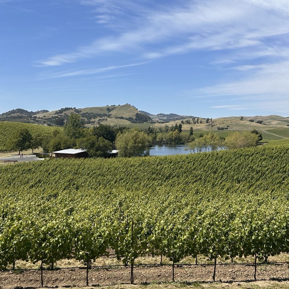 Cuvaison - Wineries Near Me - Napa, California