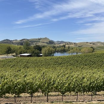 Cuvaison - Wineries Near Me - Napa, California