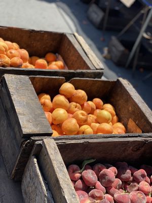 Alemany Farmer's Market by null