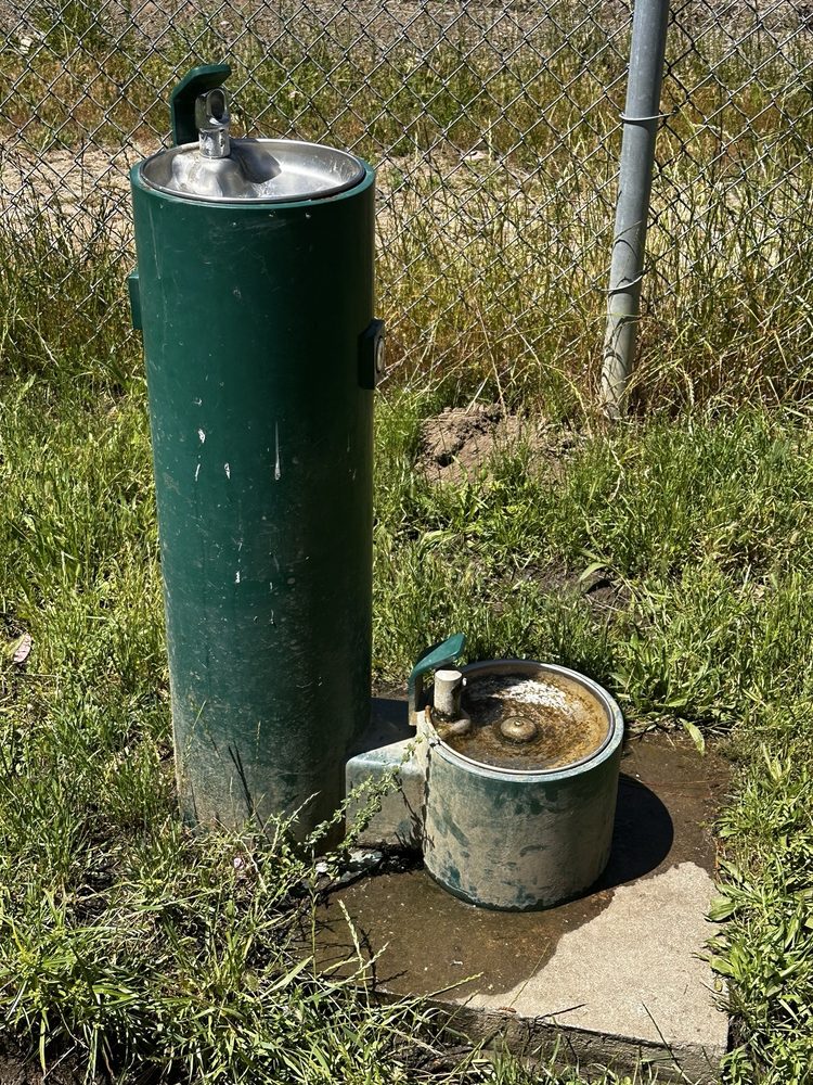 LOW GAP DOG PARK Updated September 2024 65 Photos & 17 Reviews