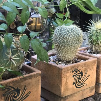 Néctar - Breakfast & Brunch Near Me - San Miguel de Allende, GUA Néctar - Breakfast & Brunch Near Me - San Miguel de Allende, GUA