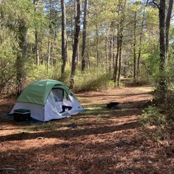 Pilgrim Lake Campgrounds - Morning at Pilgrim Lake. The lake itself is a short walk to the right of where this photo was taken.