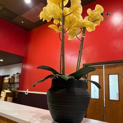 Viet House