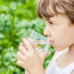 Gaines Soft Water