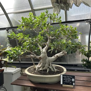 Krohn Conservatory - Botanical Gardens Near Me - Cincinnati, Ohio