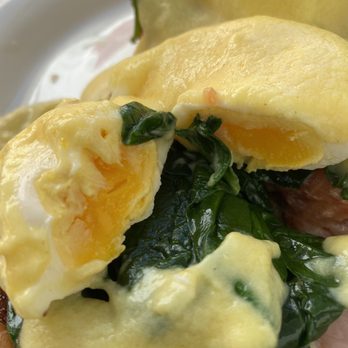 Mr D's - $14 FRENCH BENEDICT - SO BLAND! Over cooked egg. Zero salt. Won't be returning. Terrible. - American Near Me - Placentia, California Mr D's - $14 FRENCH BENEDICT - SO BLAND! Over cooked egg. Zero salt. Won't be returning. Terrible. - American Near Me - Placentia, California