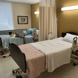 Daytona Beach Health & Rehabilitation - Semi-Private Room