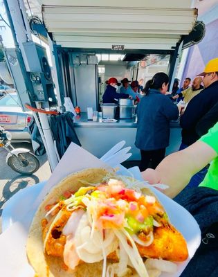 Tacos Fenix (Fish & Shrimp) by null