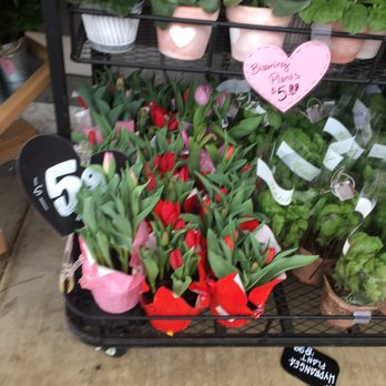 Trader Joe's - 2*13*19 getting ready for Valentine's Day - Grocery Near Me - Granada Hills, California Trader Joe's - 2*13*19 getting ready for Valentine's Day - Grocery Near Me - Granada Hills, California