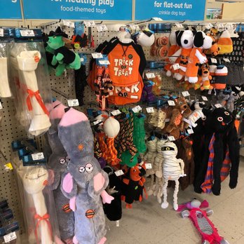 PetSmart - Pet fun - Pet Training Near Me - San Juan Capistrano, California