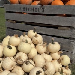 Red Wagon Farm