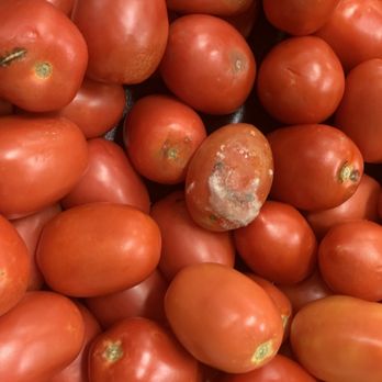 Balboa Market - moldy tomatoes - Grocery Near Me - Van Nuys, California Balboa Market - moldy tomatoes - Grocery Near Me - Van Nuys, California