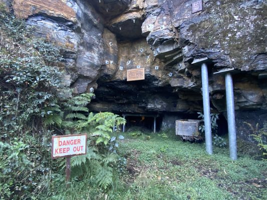 Blue Mountains National Park by null