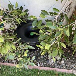 Nates Pest Control Incorporated - The new In2care device for mosquito control