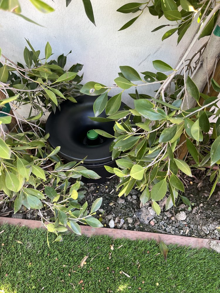 NATES PEST CONTROL INCORPORATED Updated September 2024 Palmdale, California Pest Control