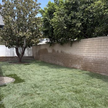 Ready For You Landscaping Services - After picture with sod installed. - Landscaping Near Me - Banning, California Ready For You Landscaping Services - After picture with sod installed. - Landscaping Near Me - Banning, California