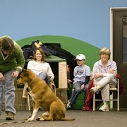 ＜NOMADIS＞DOGGY’S Petit 別注】＜NOMADIS＞DOGGY'S Petit（ペット用キャリーケース）｜NOMADIS