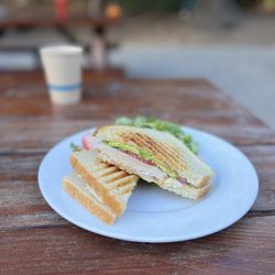 Alice's Restaurant - Chicken Avocado Panini