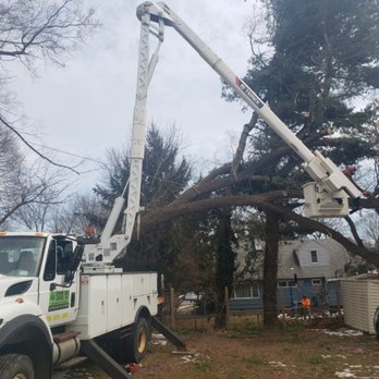 Stevens Tree Service - Blown down tree removal - Tree Services Near Me - Chittenango, New York
