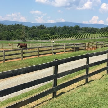 Knight's Gambit Vineyards - Wineries Near Me - Charlottesville, Virginia