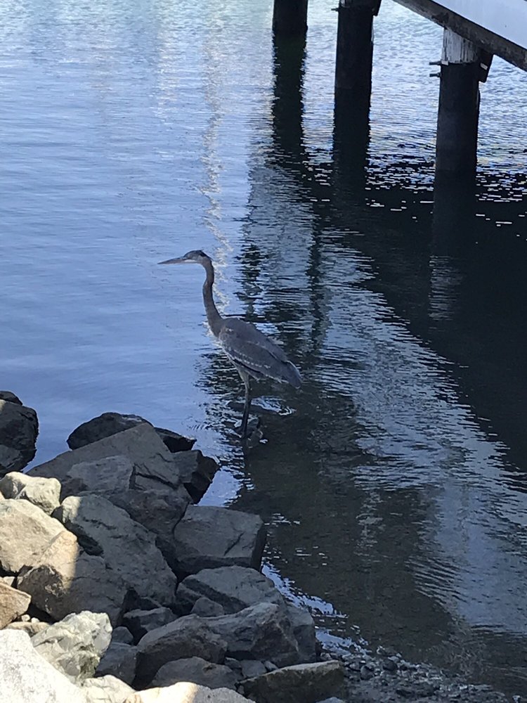 Glorietta Bay Boat Launch Ramp, Coronado Roadtrippers