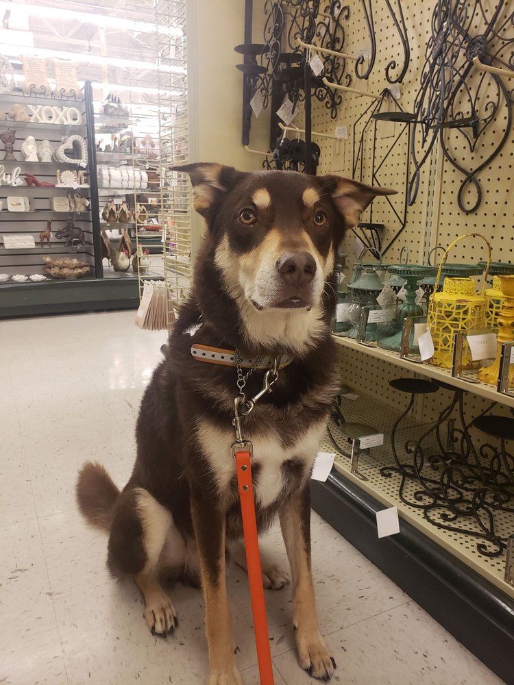 HOBBY LOBBY Updated October 2024 17 Reviews 545 Noble Creek Dr